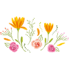 Blooming flowers