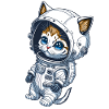 Bébé chat dans l’espace