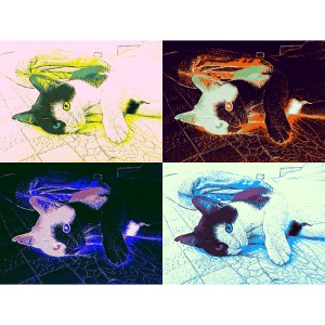 Schmusekater Pop-Art