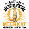 Erdmännchen Surikat Meerkat