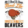 Beaver Gift Beaver Dam