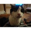 IMG 20220510 WA0013