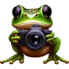 Frog photographer in action