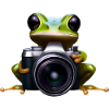 Photographe grenouille en action