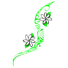 TAITIARE (green)