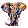 Elephant colorful