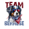 Bernese Mountain Dog