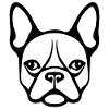 French Bulldog Frenchie Boston Terrier