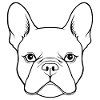 French Bulldog Frenchie Boston Terrier