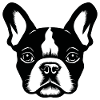 French Bulldog Frenchie Boston Terrier