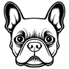 French Bulldog Frenchie Boston Terrier