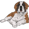 Saint-Bernard Chien Saint-Bernard