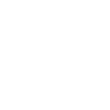 Schildkröte Schildkröten
