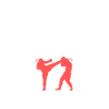 MMA Shirt