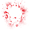 Schädel & Chrysantheme
