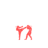 MMA Shirt
