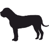 Boerboel Silhouette