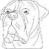 Bullmastiff