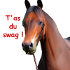 "T'as du swag !"
