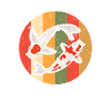 Where Is My Koi