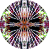 Nature Mandala Underwater, Lionfish