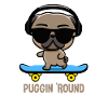 Pug on Skateboard Pugging Around