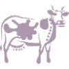 Cow Art Abstract