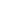 Aardvark