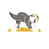 Sloth, Coffee, Sloth, Yoga