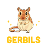 Gerbille