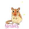 Gerbille
