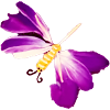 Petit papillon violet