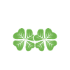 Shake your shamrock