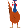 Coq faisan Oiseau Drôle Drôle