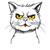 Nasty naughty fresh cartoon cat
