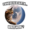 Cat conquers world