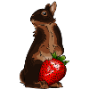 Black and Tan Bunny