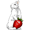 White Bunny