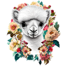 Alpaca