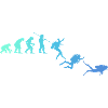 Diving Diver Evolution