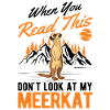 Erdmännchen Geschenk Meerkat