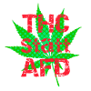 THC Statt AFD