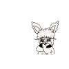 Trallalla und Hopsassa - stures Alpaka