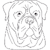 Bullmastiff Kopf