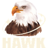 Hawk