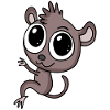Leprechaun lemurs Leprechaun primacy