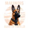 Malinois - Born to protect