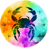 Lizi Crab Cancer