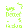 Geckos Lizard Terrarium