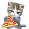 Pizza Cat